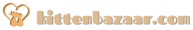 Kittenbazaar.com